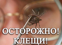 Информация о количестве обращений по поводу укусов клещей и местности предполагаемого присасывания клещей в Ивьевском районе